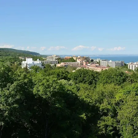 Complex Amphora Palace 3*